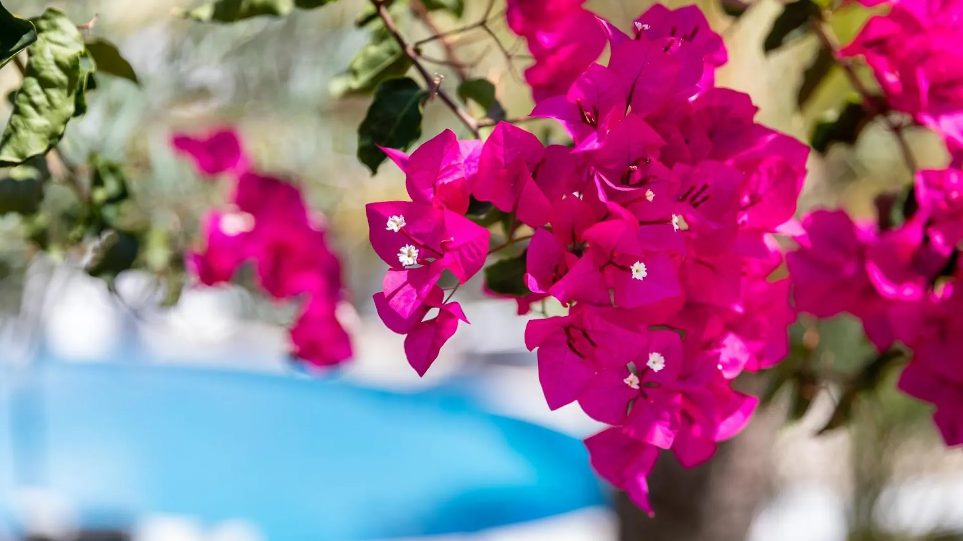 Vila Balaia - Luxury Boutique Villas